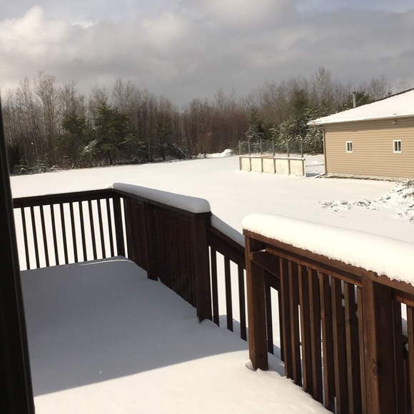 Meet your Posher, Alexie - Picture 1 of 1